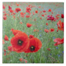 Suche nach draußen fliesen Frische