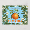 Suche nach florida orangen postkarten Zitrus