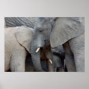 Suche nach mutter tochter poster Foto