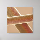 Suche nach mikroskop poster leinwandbilder Wissenschaftliche ausrüstung