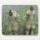 Suche nach heulen mousepads Hund
