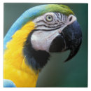 Suche nach südamerika fliesen Umwelt