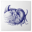 Suche nach nautilus muschel fliesen Meer