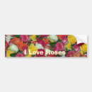 Suche nach reichlich Rose