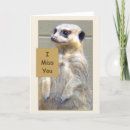 Suche nach meerkat karten Begrüßung