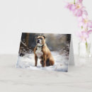 Suche nach staffordshire bullterrier karten Haustier