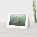 Suche nach cuttlefish Meer