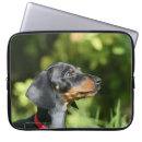 Suche nach dackel laptop schutzhüllen Dackel glatt haarige miniatur