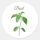 Suche nach basilikum aufkleber Kräuter