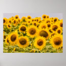 Suche nach betriebe poster Fotografie