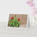 Suche nach roter chili karten Paprikaschoten