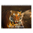 Suche nach wildes tier kalender Tiger