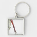 Suche nach körperteil schlüsselanhänger Kleinbetrieb