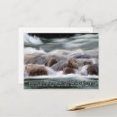 Suche nach lebendes wasser postkarten Jede person