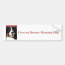 Suche nach bernese autoaufkleber Hunde