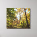 Suche nach herbstwald leinwandbilder Baum