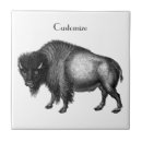 Suche nach bison fliesen Gelbstein