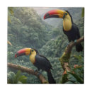 Suche nach harmonie fliesen Vögel