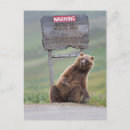 Suche nach fleischfresser postkarten Bär