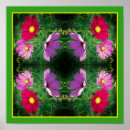 Suche nach cosmos poster Blume