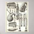 Suche nach dudelsack poster Dudelsäcke