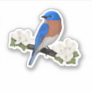 Suche nach vogelbeobachter aufkleber Vogelkunst