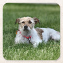 Suche nach jack untersetzer Für sie