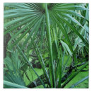 Suche nach wachstum fliesen Natur