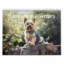 Suche nach yorkshire terrier kalender Hund