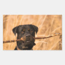 Suche nach rottweiler aufkleber Niedlich