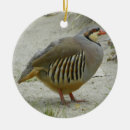 Suche nach rebhuhn ornamente Vogel