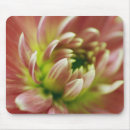 Suche nach extrem mousepads Blume