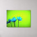 Suche nach tageslicht leinwandbilder Fotografie