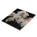 Suche nach rosa orchideen fliesen Weiß