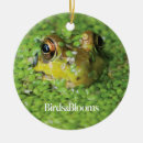 Suche nach fröschen ornamente Frosch