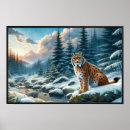 Suche nach lynx poster Luchs