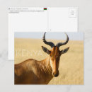 Suche nach masai postkarten Afrika