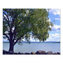 Suche nach kreationen poster Natur