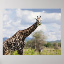 Suche nach kamera kunst Afrika