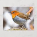 Suche nach japanische vögel postkarten Natur