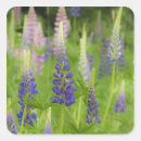 Suche nach bereich aufkleber Pflanze