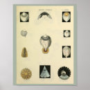 Suche nach optometrie poster Medizinisch