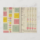 Suche nach 1890 postkarten Diagramm