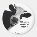 Suche nach andi Spaß