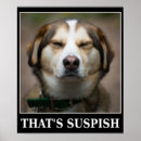 Suche nach witze poster Sarkasmus