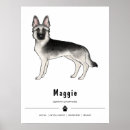 Suche nach german shepherd poster Schäfer