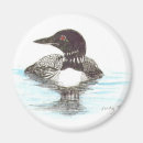 Suche nach gemeiner loon Loons