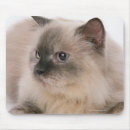 Suche nach himalaja mousepads Tier