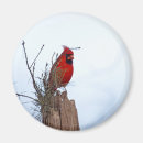 Suche nach post magnete Rot