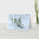 Suche nach imbolc postkarten Wiccan